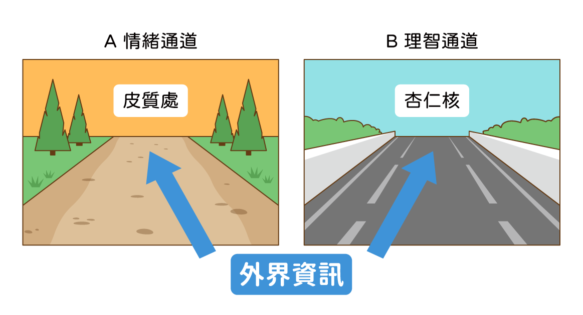 題目選項圖片