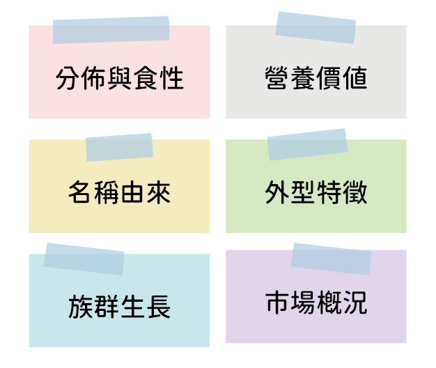 題目選項圖片