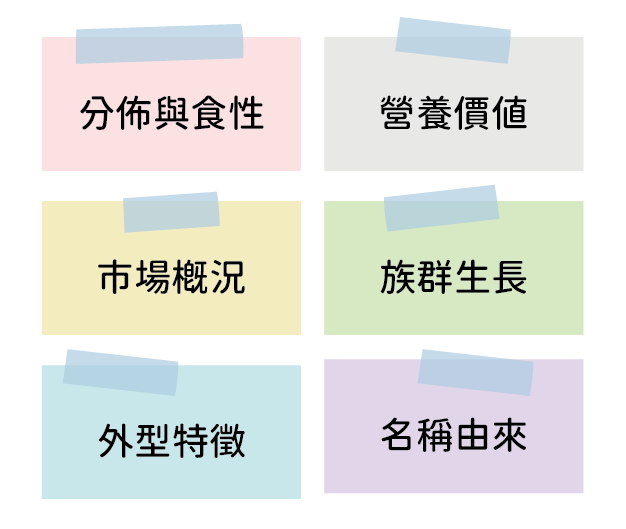 題目選項圖片