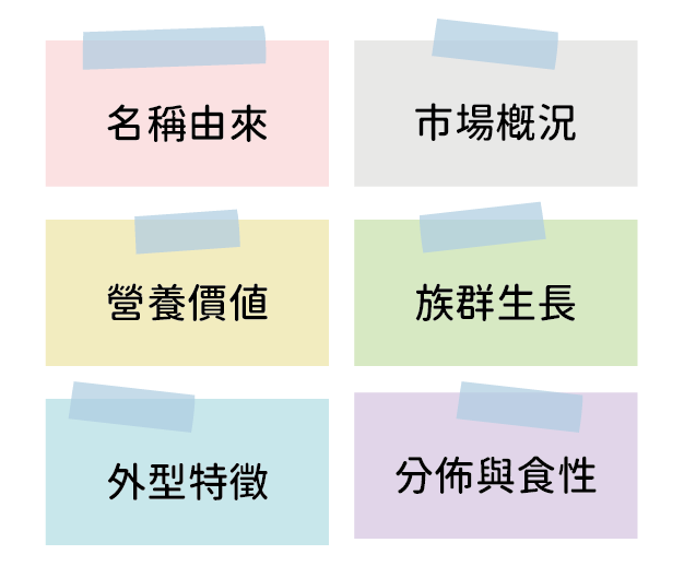 題目選項圖片