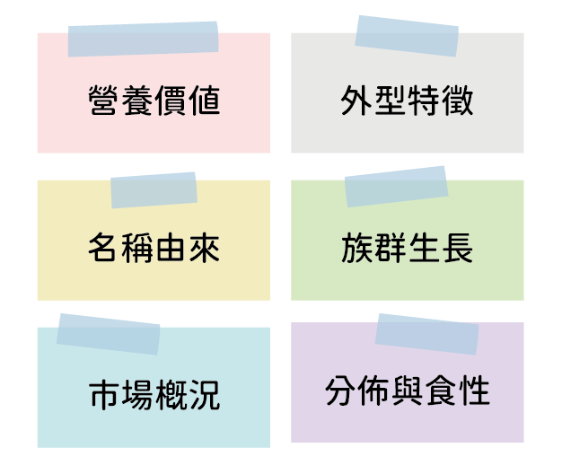題目選項圖片