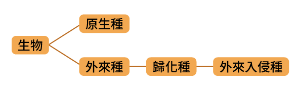 題目選項圖片