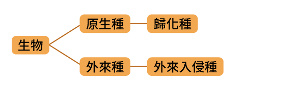 題目選項圖片