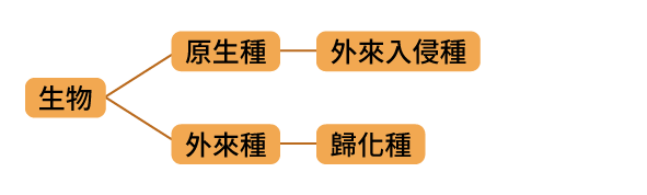 題目選項圖片